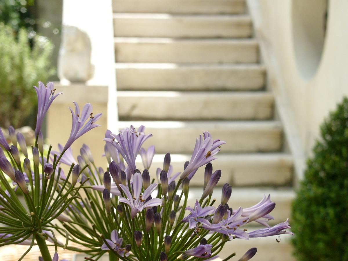 Bed and Breakfast Primaluce Venecia Exterior foto